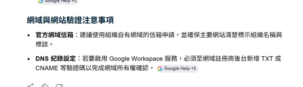 網域與網站驗證注意事項說明，包含兩個重點：(1) 官方網域信箱——建議使用組織自有網域的信箱申請，並確保主要網站清楚標示組織名稱與標誌；(2) DNS 紀錄設定——若要啟用 Google Workspace 服務，必須至網域註冊商後台新增 TXT 或 CNAME 等驗證碼以完成網域所有權確認